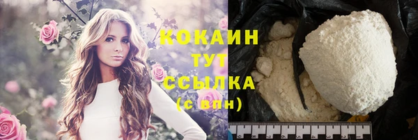 стаф Аркадак