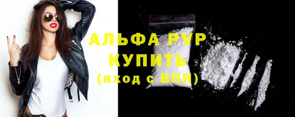 стаф Аркадак