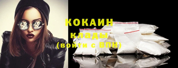стаф Аркадак