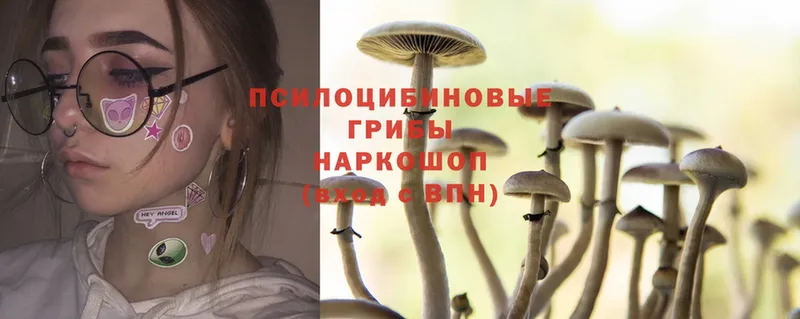 Псилоцибиновые грибы Cubensis  как найти наркотики  Валдай 