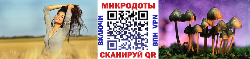Псилоцибиновые грибы Psilocybe  Валдай 